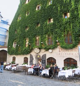 Read more about the article Stadtgrün – Konzepte für mehr Begrünung in München