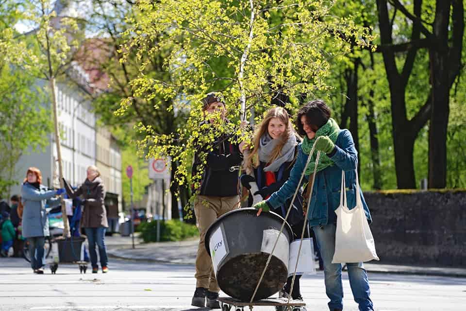 Begrünungsprojekt Wanderbaumalle für mehr Stadtgrün in München